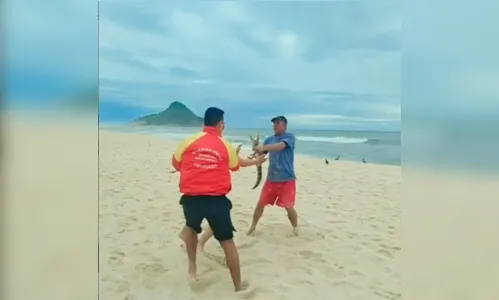 Filhote de jacaré causa briga entre banhistas no Rio