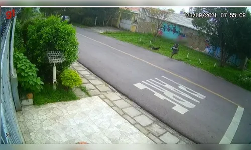 Homem invade creche para fugir de suspeitos armados no PR