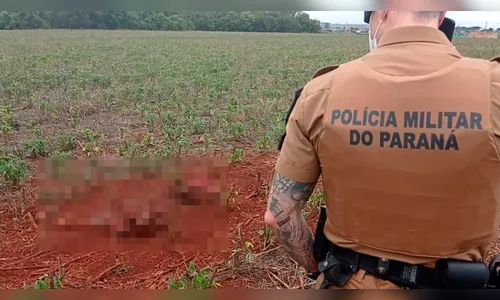 Homem localiza corpo sem cabeça e braços no Paraná