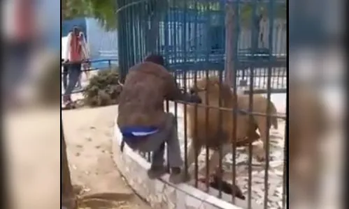 Homem provoca leão em zoológico e é atacado pelo animal