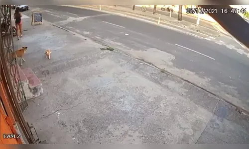 Homem tenta roubar mulher, mas cachorro morde a perna; veja