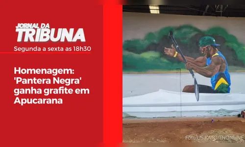 Homenagem: 'Pantera Negra' ganha grafite em Apucarana