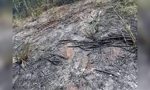 Idosa queima lixo, tenta apagar chamas e morre carbonizada