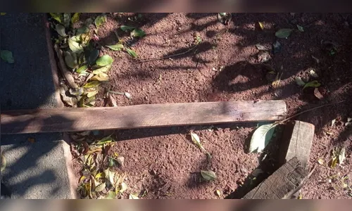 Homem invade casa rouba e espanca vítima a pauladas