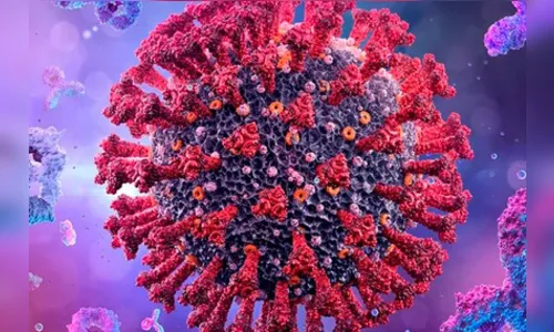 Apucarana confirma dois óbitos e mais 21 casos de Covid-19