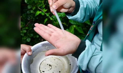 Infestação do mosquito da dengue gera alerta em Apucarana