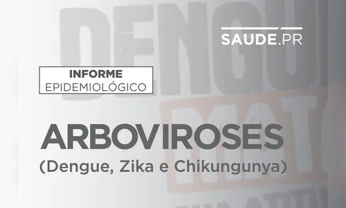 Informe da dengue registra 301 casos da doença no Paraná