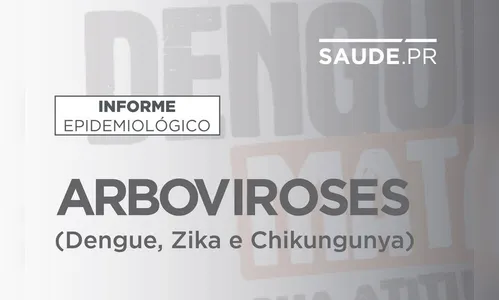 Informe semanal da dengue registra 24 novos casos no Paraná