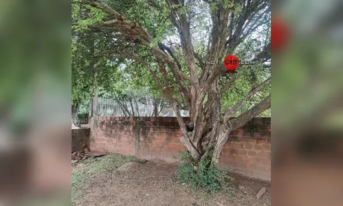 Menino morre enforcado enquanto brincava em balanço no PR