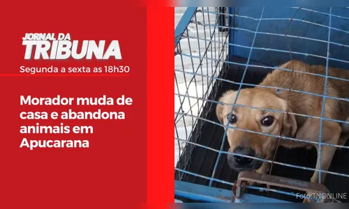 Morador muda de casa e abandona animais em Apucarana