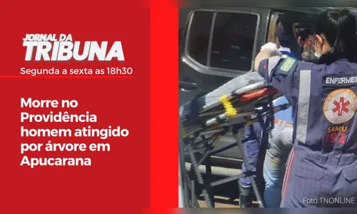 Morre no Providência homem atingido por árvore em Apucarana