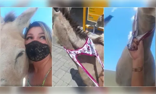 Mulher tira calcinha e a usa para resgatar jumento em pista