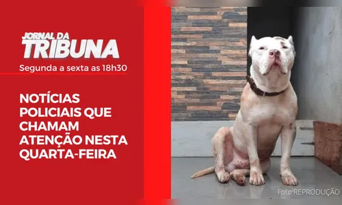 NOTÍCIAS POLICIAIS QUE CHAMAM ATENÇÃO NESTA QUARTA-FEIRA