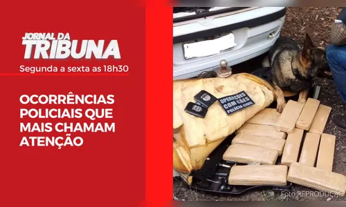 Ocorrências policiais que chamam atenção nesta quarta