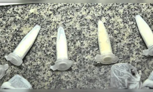 PM acha eppendorfs junto de brinquedos na casa de traficante