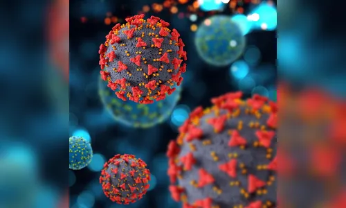 PR prorroga até dia 31 as medidas de enfrentamento à Covid