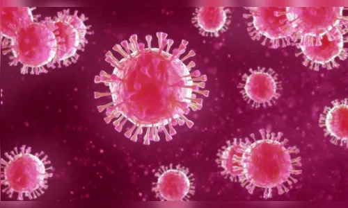 Paraná confirma 704 novos casos de Covid e 29 óbitos