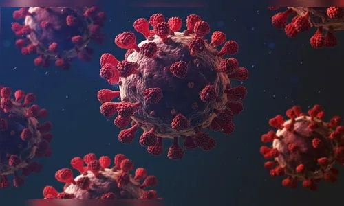 Paraná confirma mais 543 casos e 18 mortes por covid-19