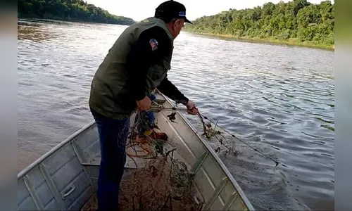 Pesca de espécies nativas está proibida até fevereiro no PR