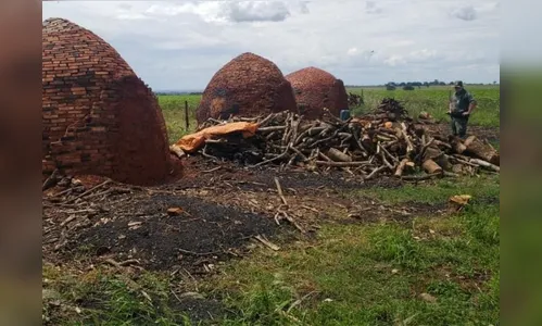 Polícia apreende 2 toneladas de carvão ilegal no Paraná