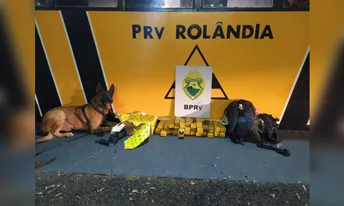 Polícia apreende quase 15 Kg de maconha em ônibus