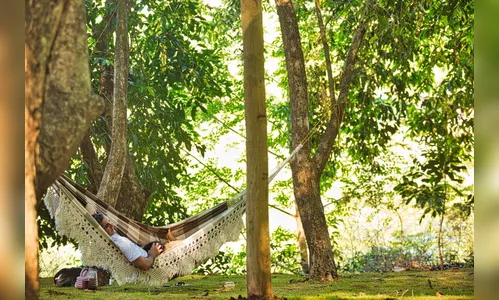 Prefeitura de Maringá oferece espaço para descanso em parque
