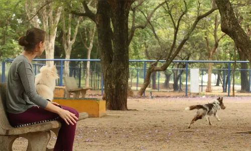 Prefeitura lança versão eletrônica de identidade para pets