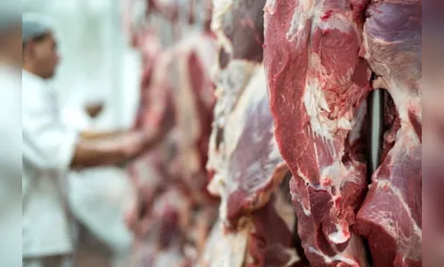 Procon recomenda que açougues não vendam ossos e carcaças