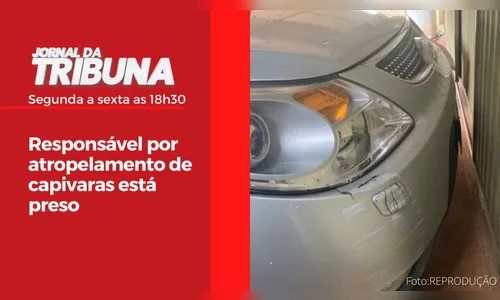 Responsável por atropelamento de capivaras está preso