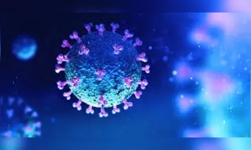 Sem óbitos: Arapongas registra 12 novos casos coronavírus