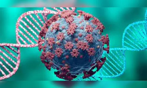 Sem óbitos: Arapongas registra 17 novos casos coronavírus