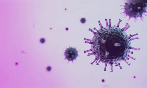 Sesa confirma mais 1.906 novos casos e 67 óbitos pela Covid