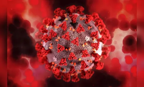 Sesa registra 1.991 novos casos e 42 óbitos pela Covid-19