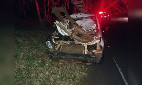 Veículo fica destruído ao se chocar com vaca na PR-482