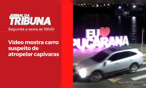 Vídeo mostra carro suspeito de atropelar capivaras