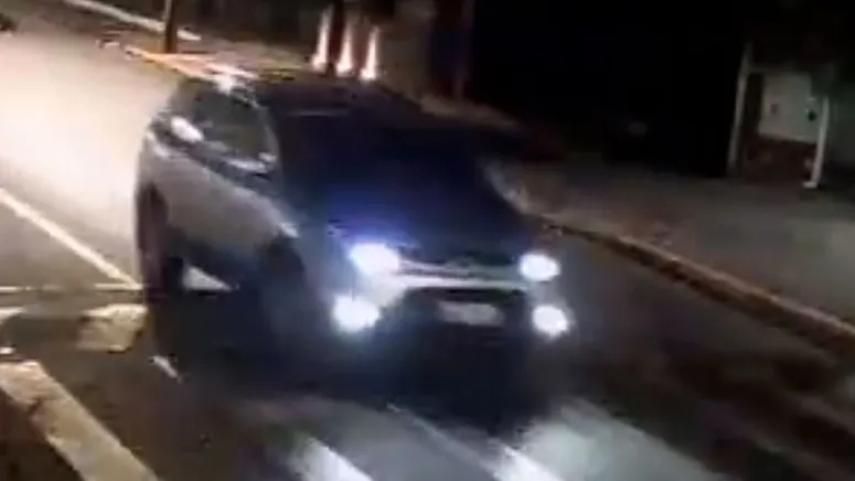 Imagem ilustrativa da notícia Capivaras viram assunto nacional