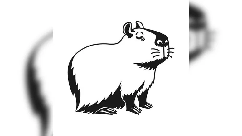 Imagem ilustrativa da notícia MOTORISTA QUE ATROPELOU CAPIVARAS PODE SER PRESO