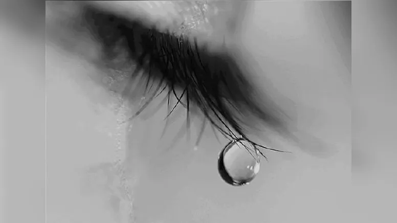 Imagem ilustrativa da notícia O que fazer com pertences de entes que partiram?