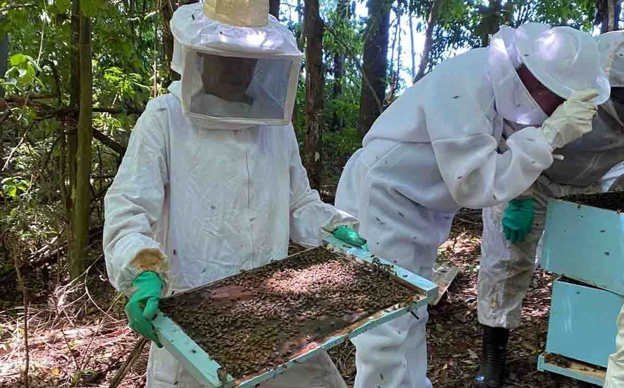 A aula teórica foi ministrada no Sindicato Rural e as orientações práticas dadas na propriedade do produtor Jorge Verenka