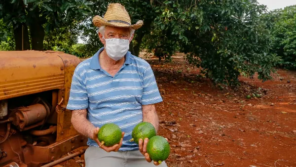 Faturamento da fruticultura triplica em Apucarana