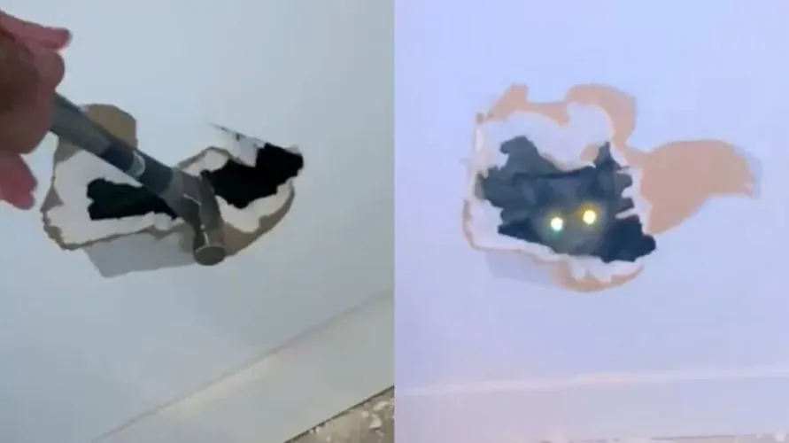 Homem quebra parede da casa com martelo para resgatar gata