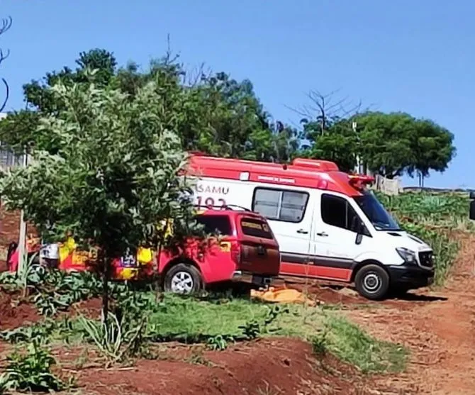 Idoso de 80 anos sofre mais de 300 picadas de abelhas