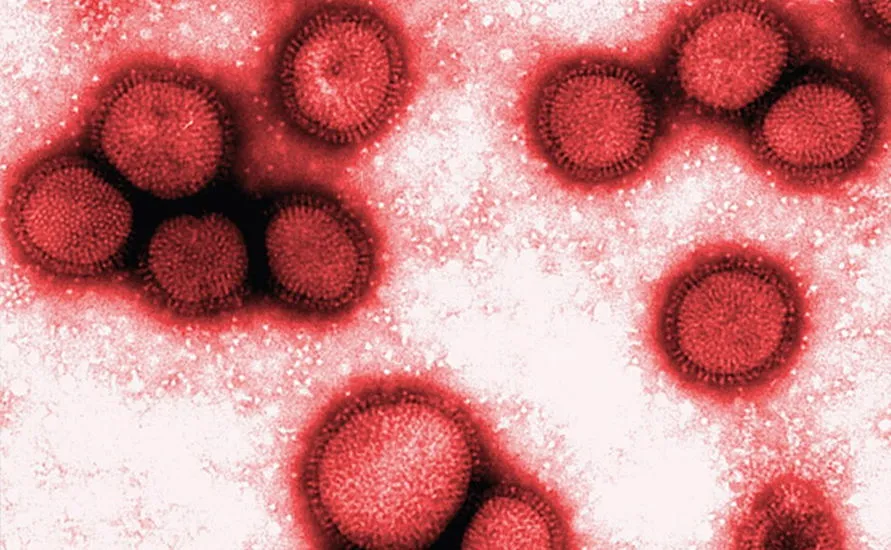 Londrina confirma primeira morte causada pela gripe H3N2
