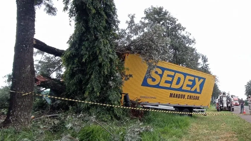 Motorista morre após colidir caminhão dos correios em árvore