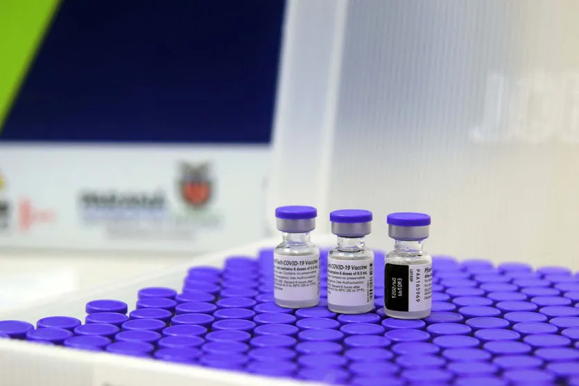 PR recebe mais 567.450 vacinas contra a Covid-19