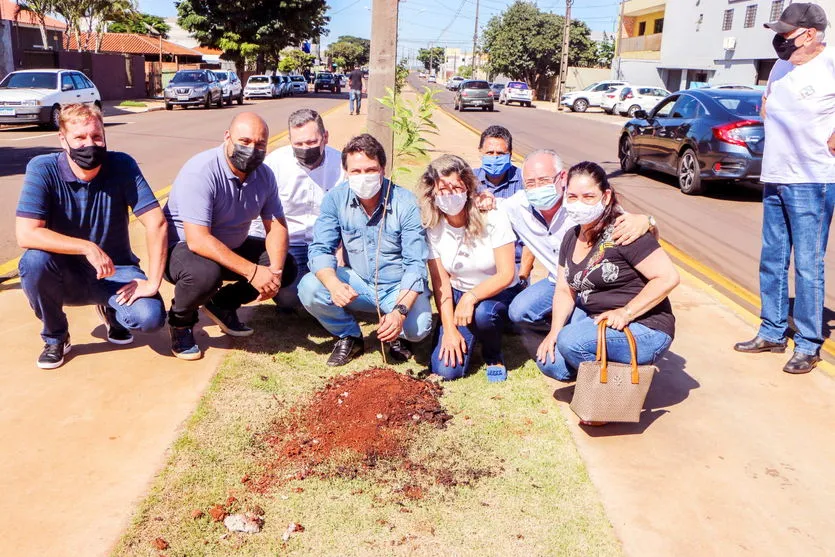 Prefeitura planta 78 cerejeiras na Avenida Pinho Araucária