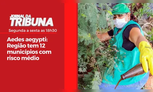 Aedes aegypti: Região tem 12 municípios com risco médio