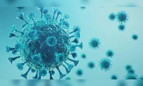 Apucarana confirma mais 175 casos de Covid-19 neste sábado