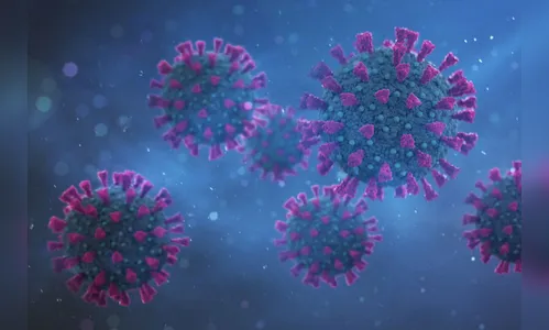 Apucarana confirma mais 186 casos de Covid-19 nesta sexta