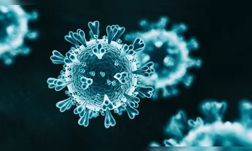 Apucarana não registra casos de Covid neste sábado de Natal